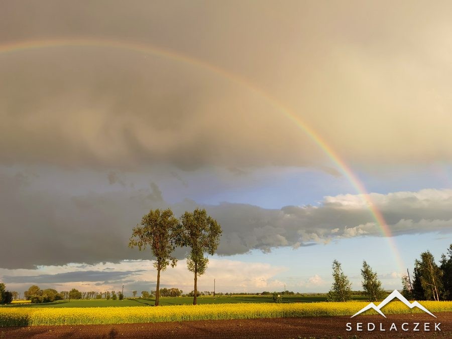 Tęcza nad polem