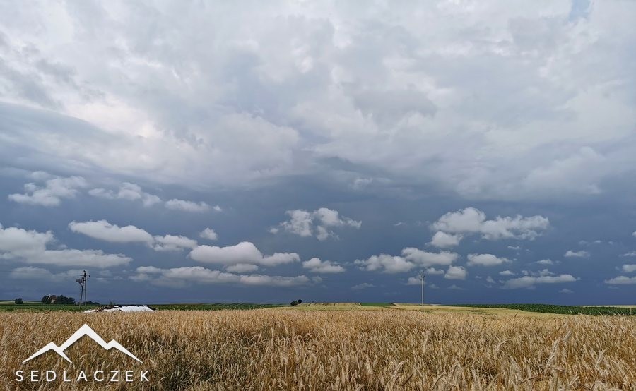 Zboże i burza